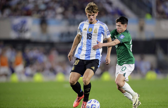 化与本土化 化与本土化